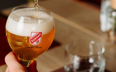 Réduire le gluten sans changer le caractère d&rsquo;une bière : le travail de dégluténisation à la Brasserie Dupont